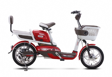 ELECTRIC BICYCLE