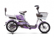 ELECTRIC BICYCLE