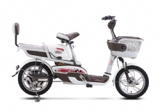 ELECTRIC BICYCLE