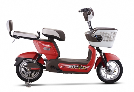 ELECTRIC BICYCLE