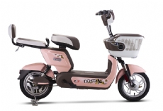 ELECTRIC BICYCLE