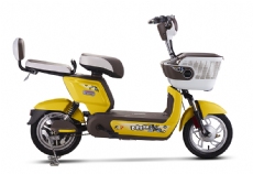 ELECTRIC BICYCLE