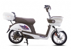 ELECTRIC BICYCLE